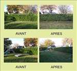 Exemple Jardinage n°213 zone Ille-et-Vilaine par Anthony