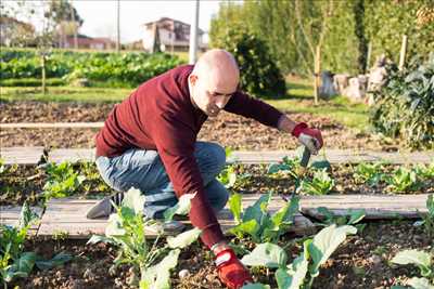 Photo ID 286 avec Tous Jardiniers A La Maison pour l’activité : Jardinage dans les Bouches-du-Rhône