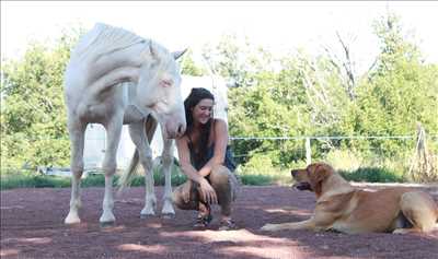 Garde d’animaux avec Thérapie et soins animaliers dans la Loire-Atlantique
