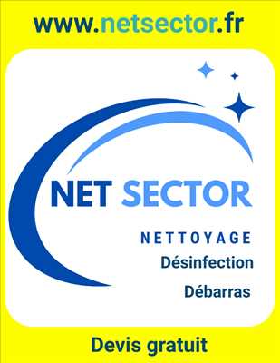 Photo Nettoyage n°334 à Chalon sur Saône par netsector